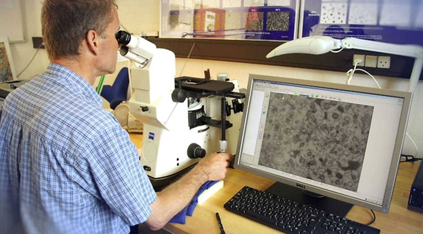 Mand sidder ved mikroskop med forstørrelse på skærm